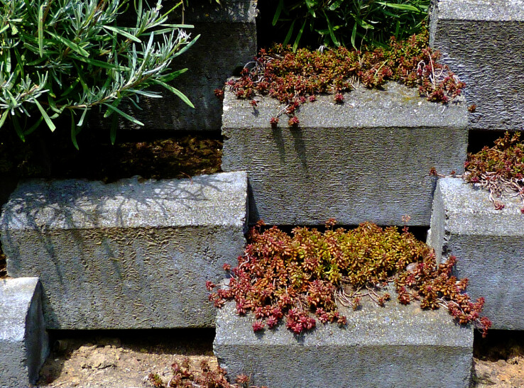 Murs de soutènement en talus floraux