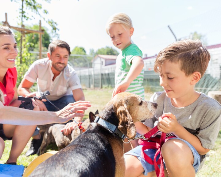 Une famille avec un chien dans son jardin s'informe sur les bonnes pratiques en matière de soins aux animaux de compagnie.