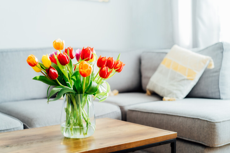 Bunter Tulpenstrauss in einer Glasvase auf einem Wohnzimmertisch