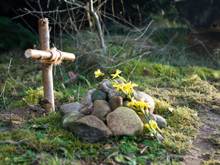 Petit mémorial composé d'une croix en bois et de fleurs, posé sur la tombe d'un animal de compagnie dans le jardin.
