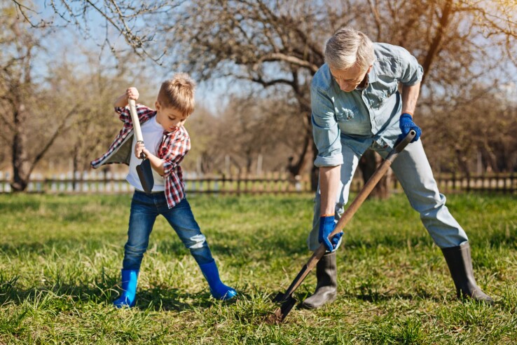Règles et consignes relatives à la plantation dans le jardin
