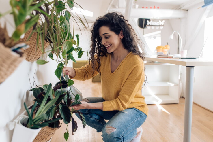 Une femme s'occupe de ses plantes d'intérieur dans un appartement lumineux.