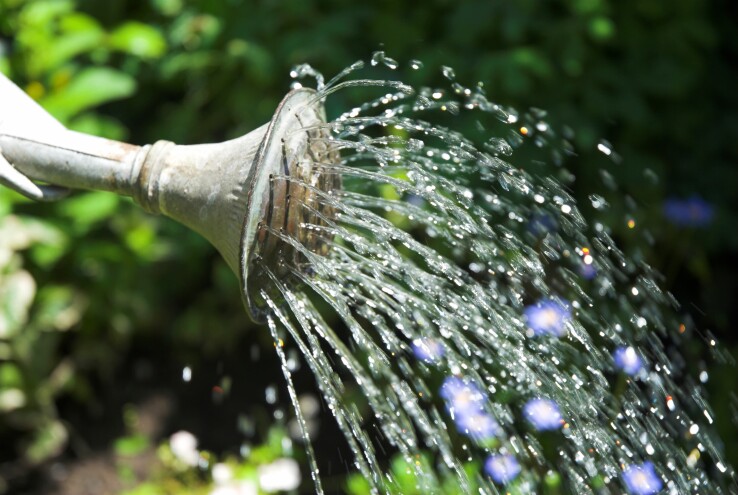Cet arrosoir permet d'arroser les plantes du jardin tout en économisant l'eau et en respectant les principes de durabilité.